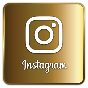 公式Instagramボタン